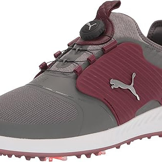 PUMA Ignite Pwradapt Quiet Shade Silver Zinfandel 12 M 194578948151 Shoe Deals Outlet