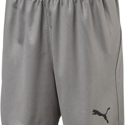 PUMA Liga Shorts Jr Gray Large 191239597284 Shoe Deals Outlet