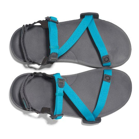 Xero Shoes Z - Trail EV - Trail Hiking, Running, and Recovery Sandal Lake Blue / Asphalt 10 M 840187697927 Shoe Deals Outlet