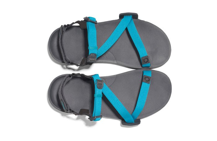 Xero Shoes Z - Trail EV - Trail Hiking, Running, and Recovery Sandal Lake Blue / Asphalt 7 M 840187697897 Shoe Deals Outlet