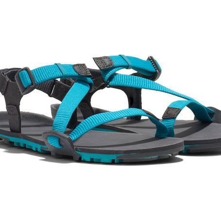 Xero Shoes Z - Trail EV - Trail Hiking, Running, and Recovery Sandal Lake Blue / Asphalt 7 M 840187697897 Shoe Deals Outlet