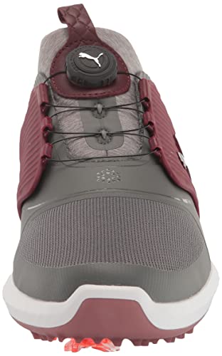 PUMA Ignite PWRADAPT Caged Golf Shoes - Men's Quiet Shade - puma Silver - zinfandel Shoe Deals Outlet