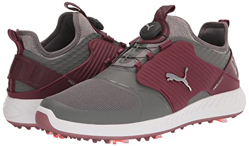 PUMA Ignite PWRADAPT Caged Golf Shoes - Men's Quiet Shade - puma Silver - zinfandel Shoe Deals Outlet