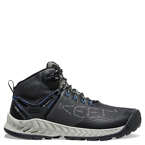 KEEN NXIS Evo - Men's Magnet/Bright Cobalt Shoe Deals Outlet