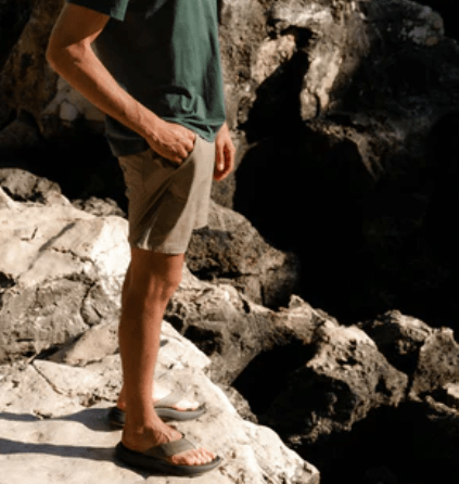 Reef Swellsole Cruiser Brown / Town 12 M 0195333908960 Shoe Deals Outlet