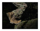 Garmont T8 Extreme GTX - Men's Coyote Shoe Deals Outlet