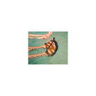 Chaco Z/Cloud - Men's Moss Lichen Shoe Deals Outlet
